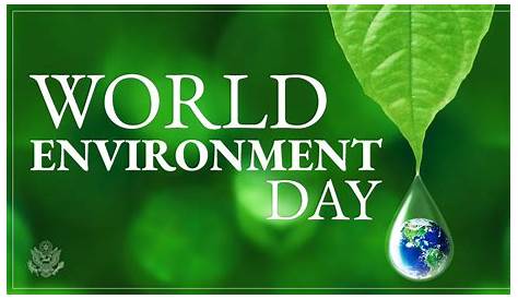 World Environment Day 2021: Activities, Celebration, Slogans, Posters