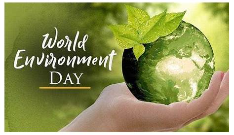 World Environment Day 2023: Date, Theme, History, Significance, other