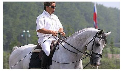 Wout-Jan van der Schans net naast podium Sentower Park - Horses