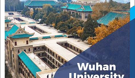 Wuhan University School Of Medicine
