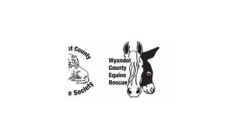 Washington County Humane Society needs volunteers for veteran pet