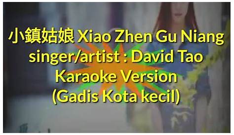 路灯下的小姑娘 lu deng xia de xiao gu niang Lyrics - Follow Lyrics