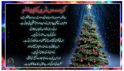 Xmas Tree Urdu Meaning