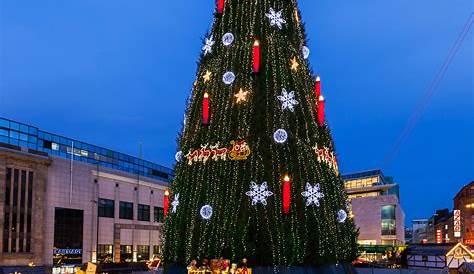 Travel reveals the best Christmas trees in the world Daily