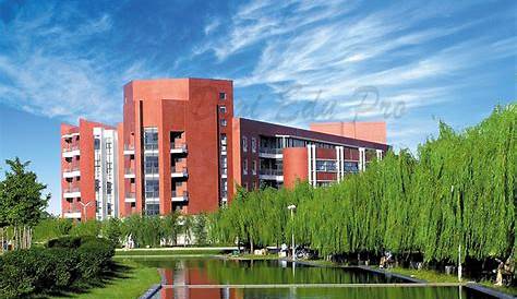 Bai YANG | Xi'an University of Technology | College of Science