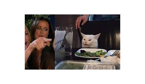 'Woman Yelling At A Cat' is Derived From Two Popular Memes