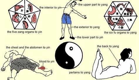 Yin & yang meridians Qigong, Latissimus Training, Holistic Healing