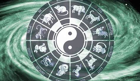 Yin Yang Shower Curtain, Chinese Zodiac Signs with Calligraphy Names