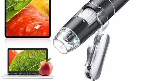 Buy Wireless Digital Microscope, YINAMA 50X1000X Magnification
