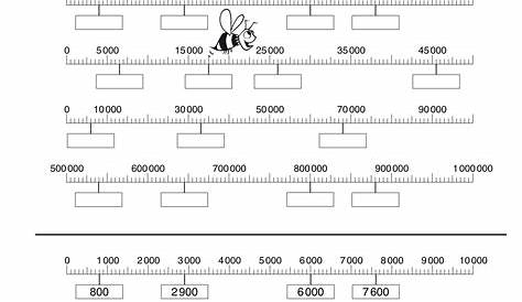 Zahlen bestimmen bis 10000 (Klasse 4) - mathiki.de | Matheaufgaben