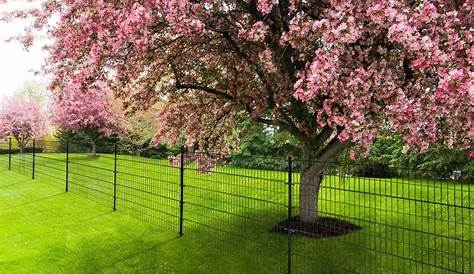 Pantanet Zaun für den Garten und das zu Hause