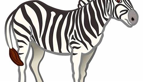 Zebra clipart. Free download transparent .PNG | Creazilla