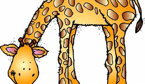 Zoo Animals Clip Art Instant Download personal or
