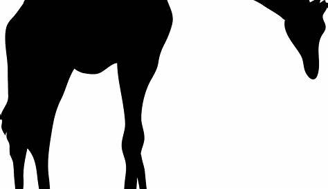 Zoo Animal Silhouettes - Red 3 Display