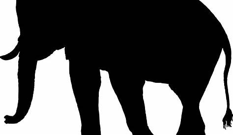Zoo Animal Silhouettes isolated on white - Buy this stock illustration