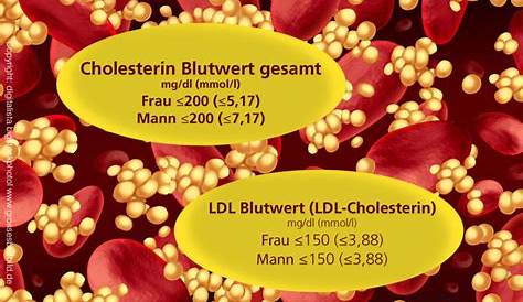 Cholesterin: HDL und LDL Typ A und B. Cholesterin senken