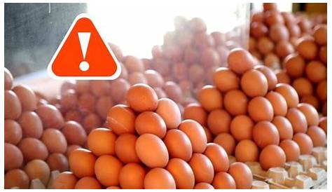 Warum sind zu viele Eier ungesund? | Vermietedichreich