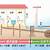 マンション トイレ 下水 仕組み