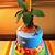 1st birthday luau cake ideas