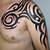 Arm Shoulder Tribal Tattoos