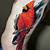 Cardinal Tattoo Ideas