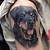 Dog With Tattoo