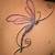 Dragonfly Tattoos Designs Free