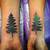 Pine Tattoo