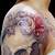 Rose And Skull Sleeve Tattoos