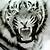 Siberian Tiger Tattoo Designs