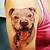 Tattoos Of Pitbulls