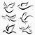 Tribal Dove Tattoo Meaning