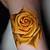 Yellow Rose Tattoo