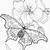 adult coloring pages for seniors