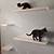 aesthetic cat shelves