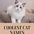 aesthetic cats names