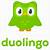 aesthetic duolingo logo
