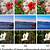 aesthetic-driven image enhancement by adversarial learning