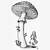 alice in wonderland mushroom drawings