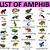amphibians animals list with pictures