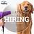 animal care jobs hiring near me
