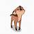 animal gifs cartoon cute