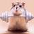 animal weight lifting gif