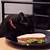 animals eating sandwiches gif
