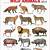 animals list with pictures pdf