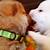 animated dog kiss gif