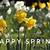 animated first day of spring gif
