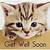animated get well cat gif