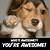 animated gif you are awesome meme