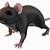 animated pack-rat gif